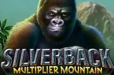 Silverback Multi Mountain